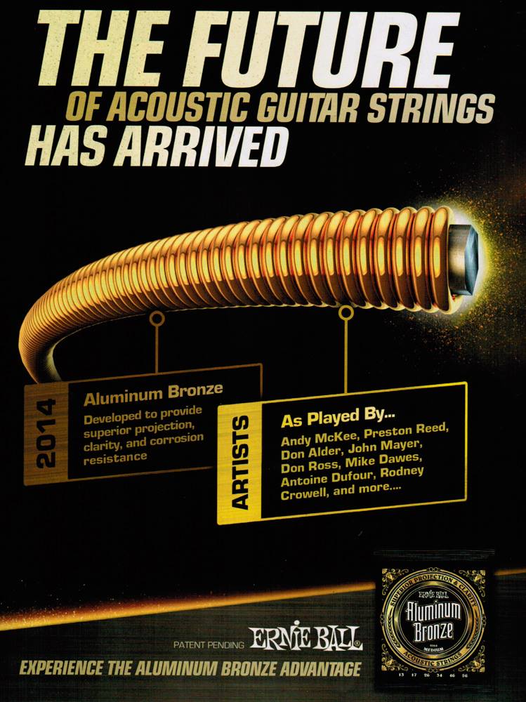 2014-ernie-ball-ad